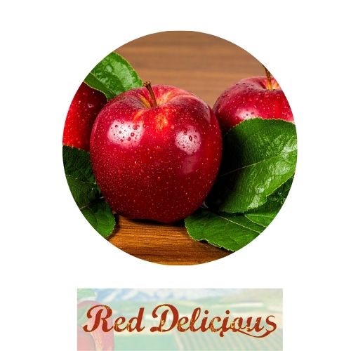 Red Delicious